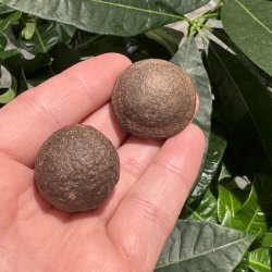 Moqui marbles