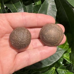 Moqui marbles