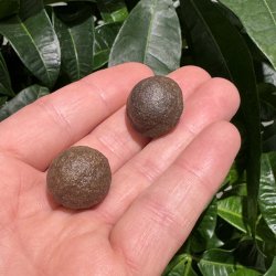 Moqui marbles