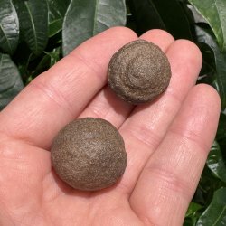 Moqui marbles