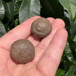 Moqui marbles