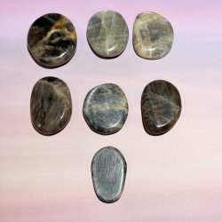 Sort mnesten flad lommesten