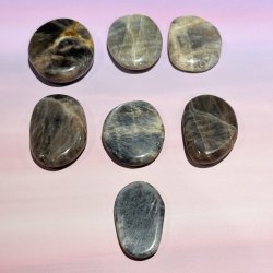 Sort mnesten flad lommesten