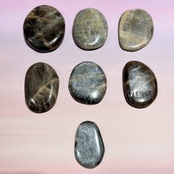 Sort mnesten flad lommesten