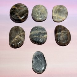 Sort mnesten flad lommesten