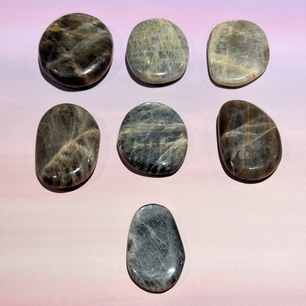 Sort mnesten flad lommesten