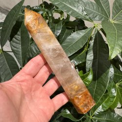 Golden healer t�rn 195 mm