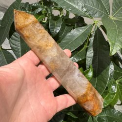 Golden healer t�rn 195 mm
