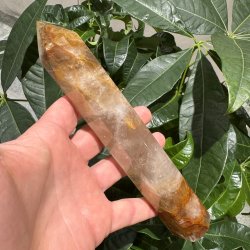Golden healer t�rn 195 mm