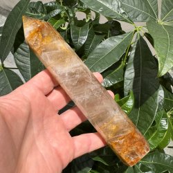 Golden healer t�rn 195 mm