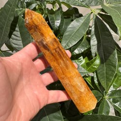 Golden healer t�rn 190 mm