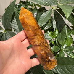 Golden healer t�rn 173 mm