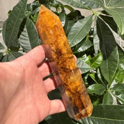 Golden healer t�rn 173 mm