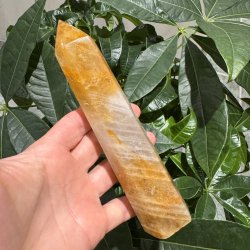 Golden healer t�rn 186 mm