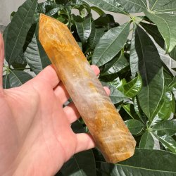 Golden healer t�rn 186 mm