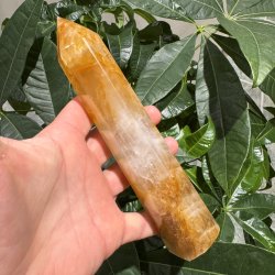 Golden healer t�rn 186 mm