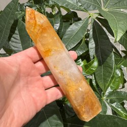 Golden healer t�rn 186 mm