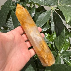 Golden healer t�rn 186 mm