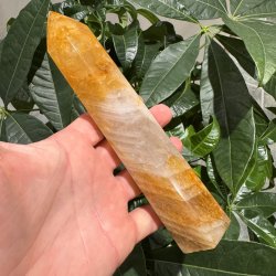 Golden healer t�rn 186 mm