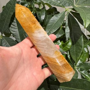 Golden healer t�rn 186 mm