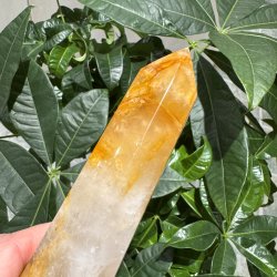 Golden healer t�rn 186 mm