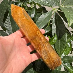 Golden healer t�rn 200 mm