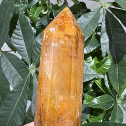 Golden healer t�rn 200 mm