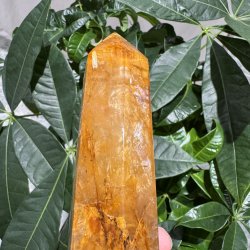 Golden healer t�rn 200 mm