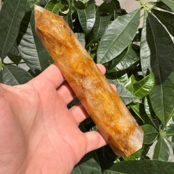 Golden healer t�rn 185 mm