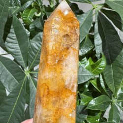 Golden healer t�rn 185 mm