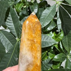 Golden healer t�rn 185 mm