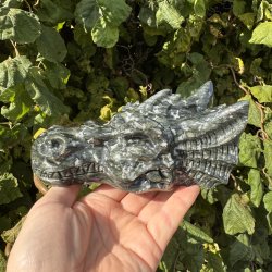 Serpentin drage hovede