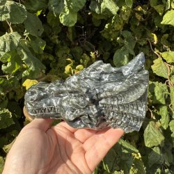 Serpentin drage hovede