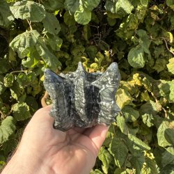 Serpentin drage hovede