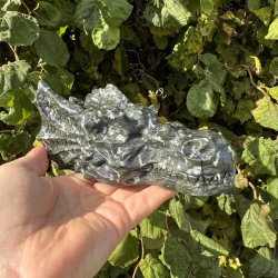 Serpentin drage hovede