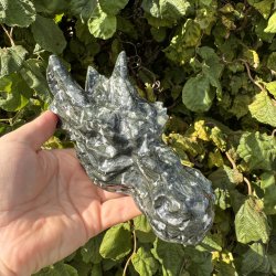 Serpentin drage hovede