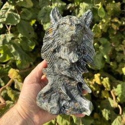 Serpentin ulvehoved