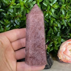 Jordb�rkvarts t�rn 120mm