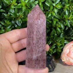 Jordb�rkvarts t�rn 120mm