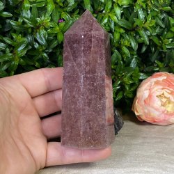 Jordb�rkvarts t�rn 120mm