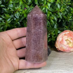 Jordb�rkvarts t�rn 120mm