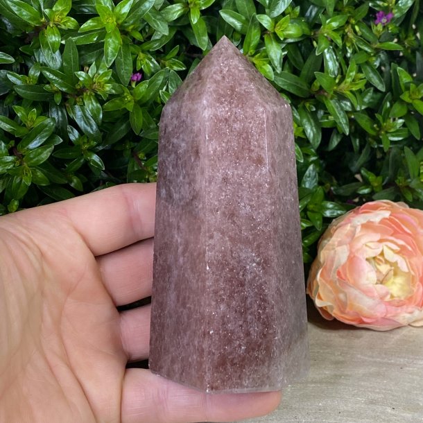 Jordb�rkvarts t�rn 126mm