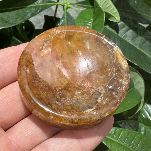 Golden healer sk�l