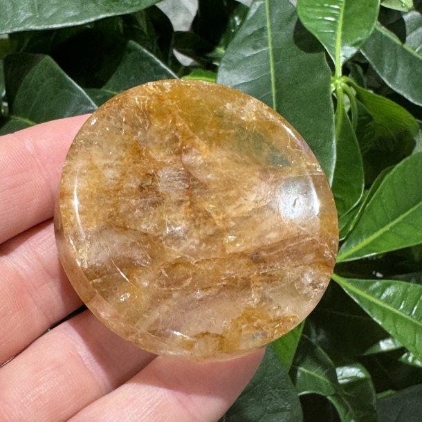 Golden healer sk�l