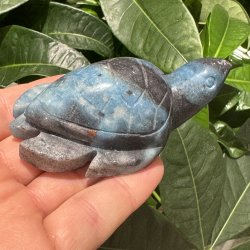 Trolleite skildpadde