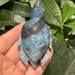 Trolleite skildpadde