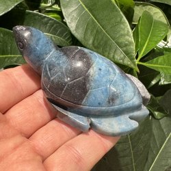 Trolleite skildpadde