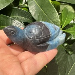 Trolleite skildpadde