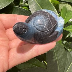Trolleite skildpadde