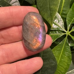 Labradorit jumbo mini